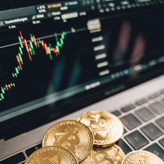 Instant +905 Terlix team di esperti di investimenti in criptovalute